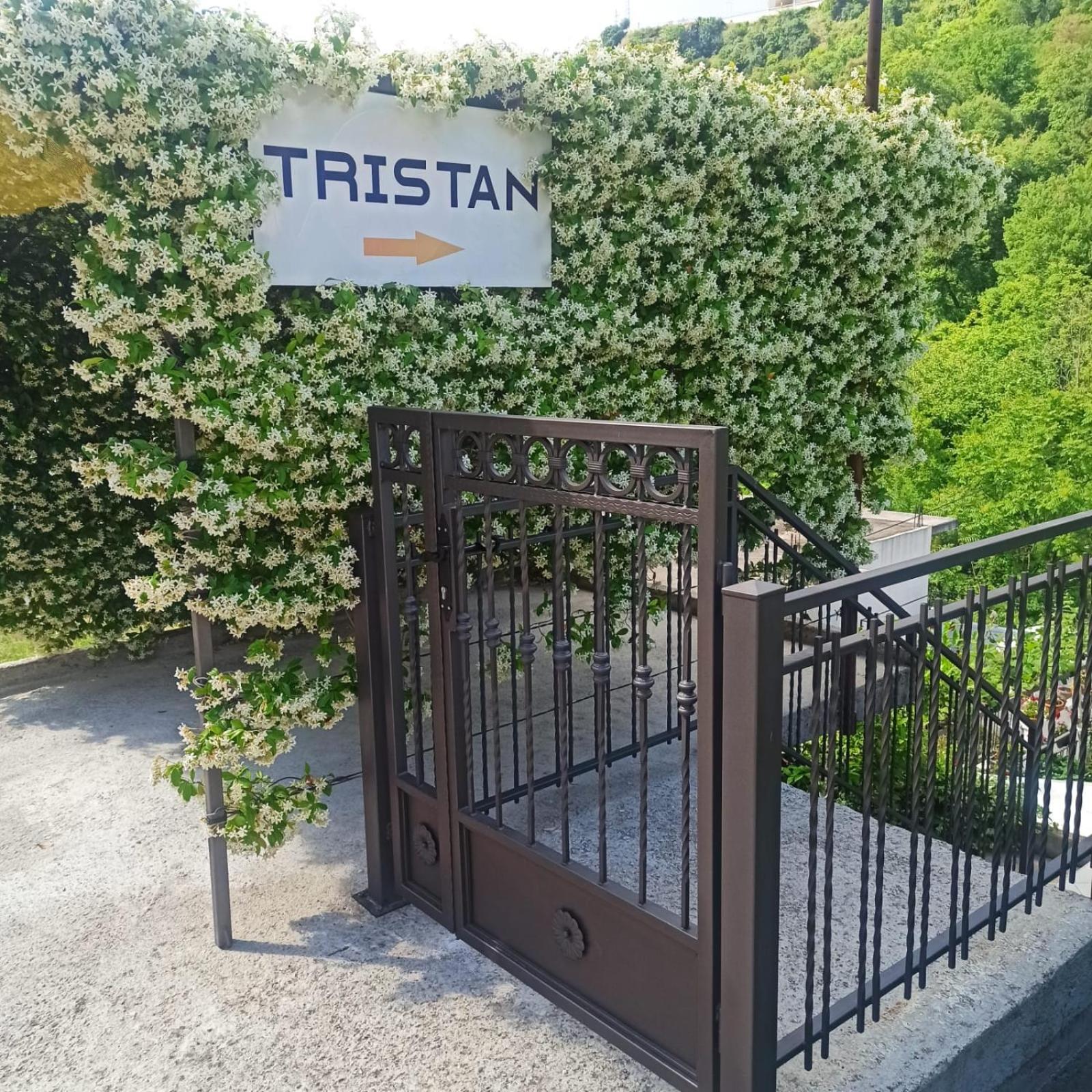 Apartman Tristan แฮร์เซ็ก-โนวี ภายนอก รูปภาพ